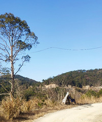 �ٺ�ӿȪ��ɽ��Ĵ����Ҫ������