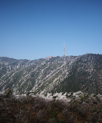 ������ɽ�Σ�ɽ��ѩ���������ǲ�����