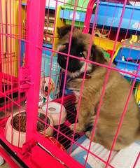 ��������������͹������빷��