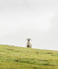 ����̫���ˣ���ȥ�������߰�