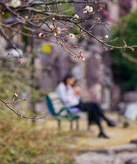 ÷��������Ӱ��Լ���񻷹�԰��÷