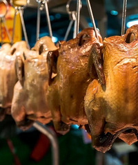 ����ҽ��˵����20һֻ�Ŀ����ǰ�ȫ�ģ������ǻ�����