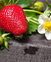 ���۸��᡿Ϊʲô�ֲ�ݮ���ˣ��Լ����������Լ��ֵĲ�ݮ��