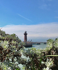 ����������������𣿴�µ���ζ�����������