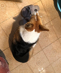 Ѱ����ʾ�����2500