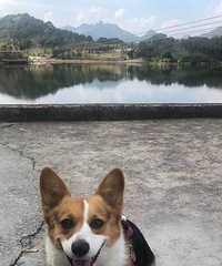 Ѱ����ʾ�����2500