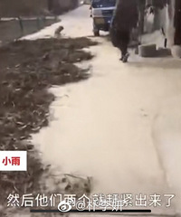 ���ױ������ף�����һ���ӳֵ�ɱ��ǰ�޸�ĸ��