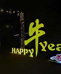 Happyţyear���µ�һ��ţ�˺�ͨ