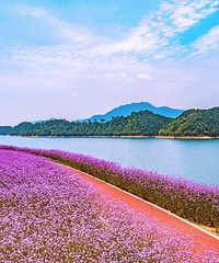 ��ѿ���1���£������Һ��ҵļ��硷����ľ���С��