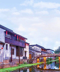 ǧĶ÷����Ȼʢ�ţ��޷����ܵĴ�ɫ������������������