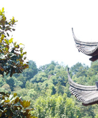 �������߷��µ�ǧ����£����ų��������