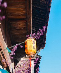 ǧ��ų���Щʱ��Ҳ�����ߵ��Ͻ�