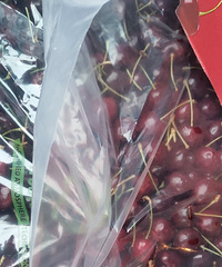 �������ʲô��9.9�ĳ����ӣ�����ʵ���˳���������