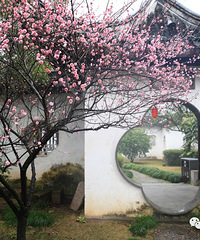 ����~~�ٺ���Щ�ط���÷��������