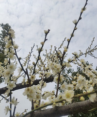 ���۸��᡿��������С�����������ж��ϼҳ��ǲ��Ǹ���ֹ�أ�