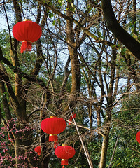 �ŷ幫԰��÷������Ҳ�����˺����