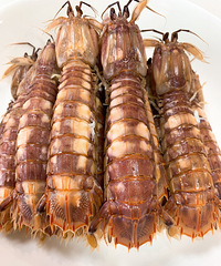 �����������֡����������ǹ�����ҹ����ǰ��