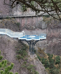 ȥ���ɾӵ�������ע���ˣ����Ų�������