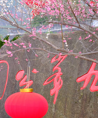 �ŷ幫԰÷����