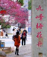 �ŷ幫԰÷����