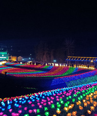 С����ĵƻ�֮л�Ŵ壬��������Χһ��Ƭ��