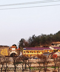 ��̨����ˮ��һ��+�ȶ���+����ͷ��ʳ