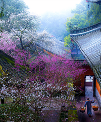 ÷��½�����ţ��㽭11���ͻ�ʤ�ؼ���ˢ������Ȧ