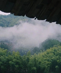 ����������й����ҵ�����ȡ����С�壬�󲿷��˶�ûȥ��