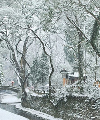 ������׶��Ķ����㶫С�ǣ���������ƮƮ