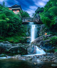 ������׶��Ķ����㶫С�ǣ���������ƮƮ