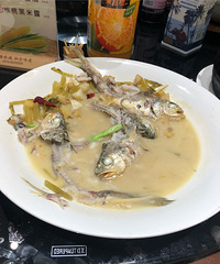 �ͺϴ�Ժ���������ը����������ͦ�óԵ�