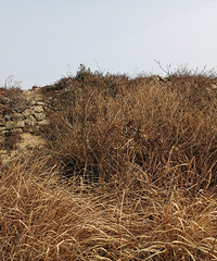 �������ϳ��ǡ�����