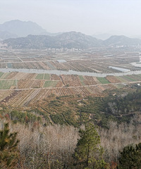 �������ϳ��ǡ�����