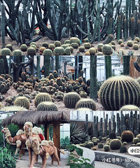 2021�����������Щ�ط������ֺ���