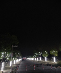 �������۾�ƽ̨