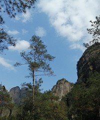 ɾӾ򿨣гҪ14δ㽭ʡΧ