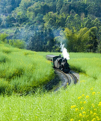 �ٹ�30�죬ȫ���綼Ҫ��Ľ���й��ˣ�