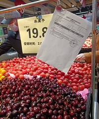 ���۸��᡿�������м��鱨������ǻ�����