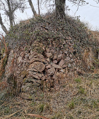 ǰ�����̨�����������ﱣ����λ