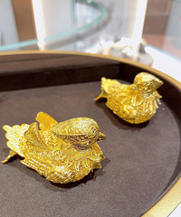 ʮ��һ�Խ�ԧ�죬ϣ����һ�����ܰ�����������