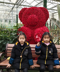 ���ڴ򿨼��ſڵĺ�԰��