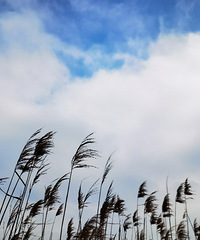 �����������֡�����ȥ�˼ٵķ�����