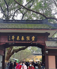 �����κ��ݷ�����������