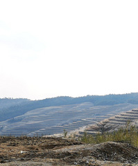 ���ʴ���ɽ�����Ϻ���ƺ����ɹ̫�������