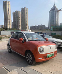 ŷ����è���������7��6