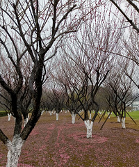 ���³������򿨣���÷��