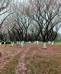 ���³������򿨣���÷��