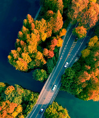 �����й�֮����ƾʲô��������