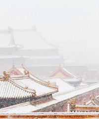 100ƪ���й�����Ѫ��������ȱ��Ϲ������