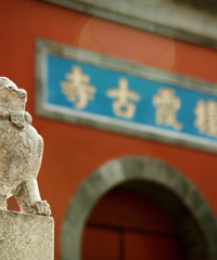 100ƪ���й�����Ѫ��������ȱ��Ϲ������